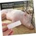 minkissy 6 pcs Early Pregnancy Cow Pregnancy Test Paper Plastic Bands Livestock Pregnancy Diagnosis Tester Pregnancy Test Strip for Pig Pregnancy Test Paper Tool The Cow Whitex3pcs 1 count (Pack of 1) - Buy Online on GoSupps.com