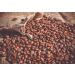 Chicco di Caff Trio 3kg Trial Package - Bio Espresso Urubamba Bio Espresso Sumatera & Espresso Horizonte - Whole Bean Coffee Savings - Buy Online on GoSupps.com