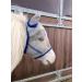 Ruggles Shetland Miniature Section A Fly Mask | Horse & Pony Eye Protection Mini Small & Large | Fleece Lined (Shetland S-Without Nose)
