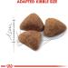 Royal Canin Cat Food Indoor 27 Dry Mix 2 kg 2 kg (Pack of 1) - Buy Online on GoSupps.com