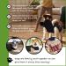Suitical Original Recovery Suit - Professional Alternative to Dog Cone for Medium Dogs - Black - Buy Online on GoSupps.com