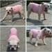 Lovelonglong Summer Pet Clothing Dog T-Shirt Ribbed Tank Top for Bulldogs - 100% Cotton, Pink, Size XL - Buy Online on GoSupps.com