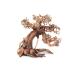 Aquarium Wood Bonsai Tree Decoration Premium Pieces Aquascaping Root Iwagumi Tree L 30x25x20cm