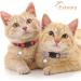 Extodry 6 Pack Plaid Cat Collars with Bells - Breakaway Kitten Collar | Adjustable 7-12in Cute Kitty Collar for Girl Boy Cats - Buy Online on GoSupps.com
