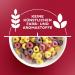 Kellogg's Froot Loops Cereal | Einzelpackung | 375g - Buy Online on GoSupps.com