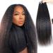 HAPPY&CC Kinky Straight Seamless Clip In Hair Extensions Human Hair Yaki Straight Clip Ins Full Head Unprocessed Brazilian Remy Virgin Human Hair for Black Women 14 Inch 7 Pcs 120g 14 Inch (Pack of 1) Kinky Straight
