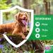 Flea Screen Combo Small Dog (3 Pipettes) - 12 Weeks Treatment for Dogs (2-10kg) & Puppies - Kills Fleas, Eggs & Ticks - Buy Online on GoSupps.com