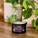 Shop Strawberry Cream Massage Oil Candle - 6oz Coconut Oil - Pour Spout - Luxurious Black Candle for Relaxation - Buy Online on GoSupps.com