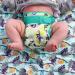 Close Pop-in Premium Bamboo Newborn Cloth Nappy - Lemur Print, Reusable & Absorbent - Buy Online on GoSupps.com