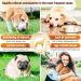 GastroBalance Dog Constipation treatment 60 laxative soft chews Natural dog stool softener (Bacon flavour) - Buy Online on GoSupps.com