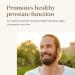 Young Living Prostate Health Supplement | 60 Softgels | Fast-Acting Essential Oils & Herbs for Prostate Function Support - Buy Online on GoSupps.com