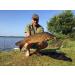 New Direction Tackle 2* Red Carbon Snag Ears - Illuminating K9 Carp Fishing Bite Alarm - Buy Online on GoSupps.com