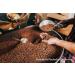 CozyUp Dark Roast Single-Serve Coffee Pods for Keurig K-Cup Brewers - 100 Count - Buy Online on GoSupps.com