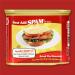SPAM Bacon 12 Oz - Delicious 12.0 Ounce Pack of 1 - Buy Online on GoSupps.com