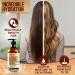 Moroccan Argan Oil Conditioner - Sulfate-Free Deep Moisturizing for Dry, Curly, Colored, Damaged Hair - Hydrating Repair for All Hair Types - Salon Grade Formula for Men and Women - Buy Online on GoSupps.com
