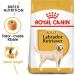 Royal Canin Dog Food Labrador Retriever Dry Mix 12kg - Buy Online on GoSupps.com