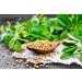 Buy Spintz 1000g Bockshornkleesaat - 100% Natural Vegan Bockshorn Clover Seeds - Plastic-Free Packaging - International Shipping Available - Buy Online on GoSupps.com