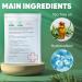 Biorica Hydrocolloid Acne Patches - Tea Tree (216 pcs) | Acne Treatment for All Skin Types | Zit Patch for Face - Buy Online on GoSupps.com