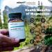 Adapt Naturals Bio-Avail Mag - High Absorption Magnesium Supplement - Chelated Bisglycinate Capsules - 60 Capsules - Buy Online on GoSupps.com
