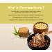 6oz Korean Cheonggukjang Powder - Nattokinase Source | Vegan Natto Powder with Vitamin K2 | Less Smell | Fermented Soybean Powder - Buy Online on GoSupps.com