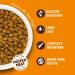 Lily's Kitchen Made with Natural Ingredients Adult Dry Cat Food Bag Chicken with Veggies Grain-Free Recipe 2kg Chicken Casserole 2 kg (Pack of 1) - Buy Online on GoSupps.com
