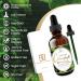 Longevity Clinic Liquid Chlorophyll Drops - 6000mg - 120 Servings - Natural Energy Boost & Immune Support - Made in USA - Buy Online on GoSupps.com