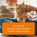 Buy COENZYME COMPOSITUM ad us.vet. Ampoules - 10pcs | Optimal Pet Health Solution for International Shipping - Buy Online on GoSupps.com
