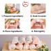 Tanisa Organic Spring Roll Rice Paper Wrapper (22cm Round 12 oz) - Non GMO & Gluten Free - Made In Vietnam - Banh Trang Goi Cuon - Buy Online on GoSupps.com