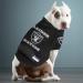 NFL JERSEY - The new PREMIUM RAGLAN PERFORMANCE JERSEY for DOGS & CATS. MESH JERSEY for pets One Size Multi - Buy Online on GoSupps.com