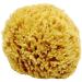 Unbleached Honeycomb Natural Sea Sponge - 100% Natural Organic Strong Durable Hypoallergenic -for Children and Adults - Used in Bath Shower Cleansing Exfoliating Art Pets Gift (Medium) 14.5 cm