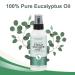 Aromasong Eucalyptus Shower Spray - 100% Pure Oil for Spa & Sinus Relief - Buy Online on GoSupps.com