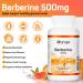 Orange Naturals Berberine 500mg - 60 Vegetarian Capsules - Berberine Supplement - Berberine HCL - Natural Metabolic Support - Buy Online on GoSupps.com