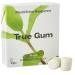 True Gum - Mint | Plastic-free chewing gum | Biodegradable | Vegan | 21 g