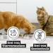 Catz Finefood MEZT Cat Snacks - Grain-Free Sugar-Free Crispy Meat Strips - 12 x 45g Variety Pack - Buy Online on GoSupps.com