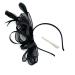 Ladies Large Feather Aliceband/Clip Fascinator for Weddings Races Royal Ascot Hair Piece (Black)