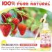 Organic Yoni Oil | 2-Pack Vaginal Moisturizer | Naturally Scented | pH Balance Restorer | Eliminates Odor & Tightens | 4.04oz - Buy Online on GoSupps.com