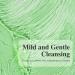 Madeca DERMA Botanic Cleansing Gel pH Balancing Cleanser with Centella Asiatica & Tea Tree Korean Skincare Soothing & Calming with Natural Hypoallergenic Ingredients (8.3 fl oz) 8.3 Fl Oz (Pack of 1) - Buy Online on GoSupps.com