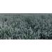 From The Field Ultimate Blend Silver Vine/Catnip Mix Tub 3.5 oz - Large Size - Buy Online on GoSupps.com