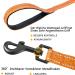 Buy Demigreat Reflective Dog Leash - 3m 5m 10m 15m 20m | Padded Handle & Hand Loop | Best Training Line for Small to Large Dogs | Durable 50ft Orange - Buy Online on GoSupps.com