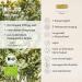 Organic Jod Capsules | Natural Iodine from Hebrides Algae | Bio Kelp Vegan Supplements | 150 g Organic Iodine per Capsule | Eco-Friendly Glass Container - Buy Online on GoSupps.com