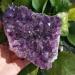Natural Crystal Rough 1pc Natural Amethyst Quartz Crystal Cluster Specimen (Color : 850g) - Buy Online on GoSupps.com