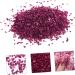 Bag of Irregular Glass Epoxy Fillers for Nail Art Accessories of Charms for Manicure and Craft Projects 0.5X0.3cm ros  - Buy Online on GoSupps.com