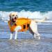 Convinit Dog Life Jacket - Adjustable Floating Vest for Small Medium & Large Dogs | Perfect for Boating Swimming & Surfing | Safety Handle & Reflectors - Buy Online on GoSupps.com