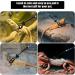 Reptile Hammock with Pet Leash Reptile Hammock Swing Hanging Bed Cotton Rope Weaving Lizard Swing Bed Swing Toy Reptile for Lizard Reptiles Birds Pets - Buy Online on GoSupps.com