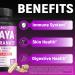 CIVIMUNA Papaya Capsules with Papaya Pomegranate Apple Pectin and More - 90 Capsules for 3 Months Supply - Buy Online on GoSupps.com
