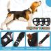3 Pack Washable Protective Dogs House Discus Wastes Pants - Black (M) | Health & Comfort for Pets - International Shipping - Buy Online on GoSupps.com