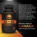 Vitamin K2 + D3 Highest Potency 120MCG/1000 IU - 120 Capsules - Helps Maintain Bone & Teeth Health - Formulated With MK-7 For Best Results - Immune System Support - Made In Canada 120 count (Pack of 1) - Buy Online on GoSupps.com