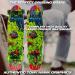 Tony Hawk 31 Complete Cruiser Skateboard | 9-Ply Maple Deck for Cruising, Carving, Tricks, and Downhill | Slime Hawk Design - Buy Online on GoSupps.com