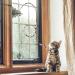 cobee Cat Wand Toys Cat Interactive Wand Toys Leopard Print Cat Wand String Kitten Ribbon Stick Toy Interactive Cat Toys Cat Wands for Cat Kitten Training Exerciser(5 Pieces 30cm) - Buy Online on GoSupps.com
