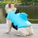 Fonlam Life Jacket for Dogs - Blue Swimming Vest for Small & Medium Dogs (L) - Safe Pool Lifeguarding Jacket - Buy Online on GoSupps.com